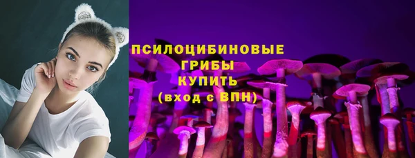 Альфа ПВП Киреевск