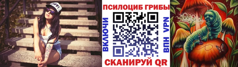 Галлюциногенные грибы Psilocybine cubensis  Купить  Абакан 